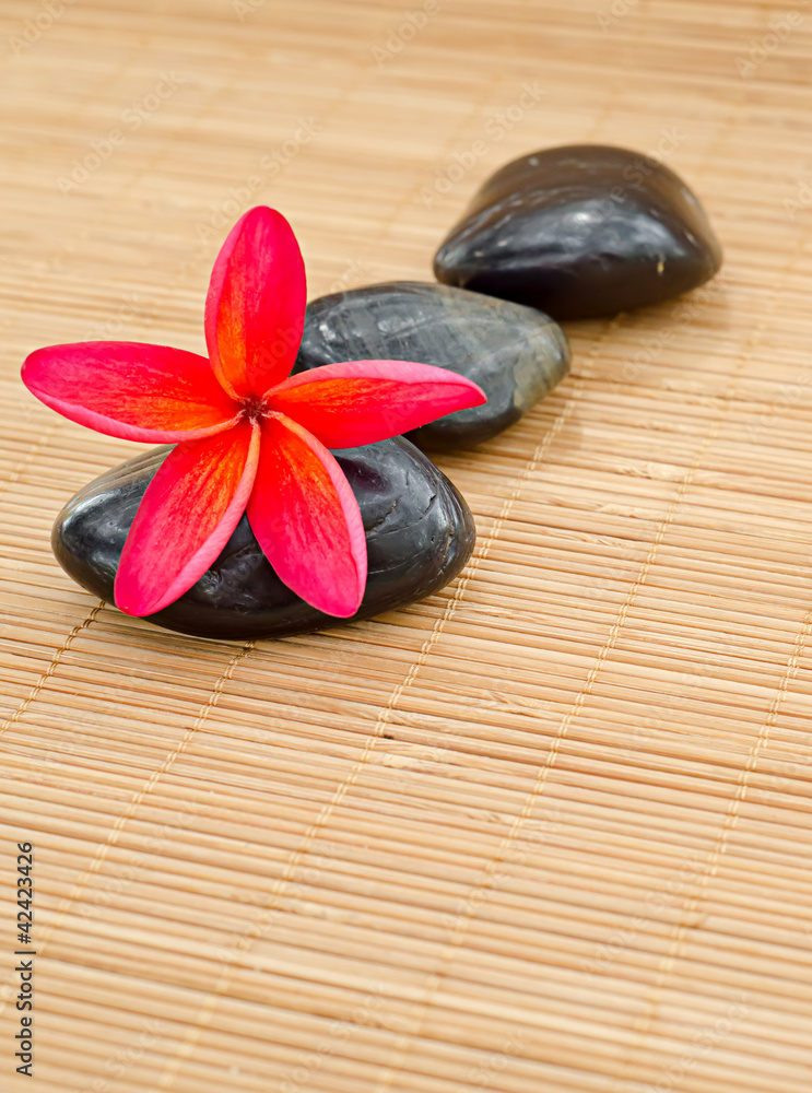 Red frangipani Red frangipani