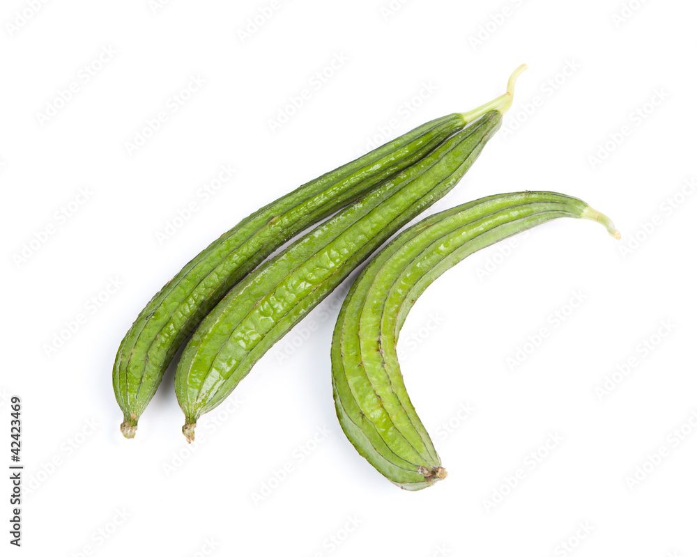 Angled Gourd Angled Gourd