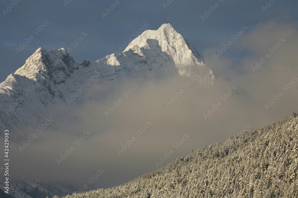 Berglandschaft im Winter