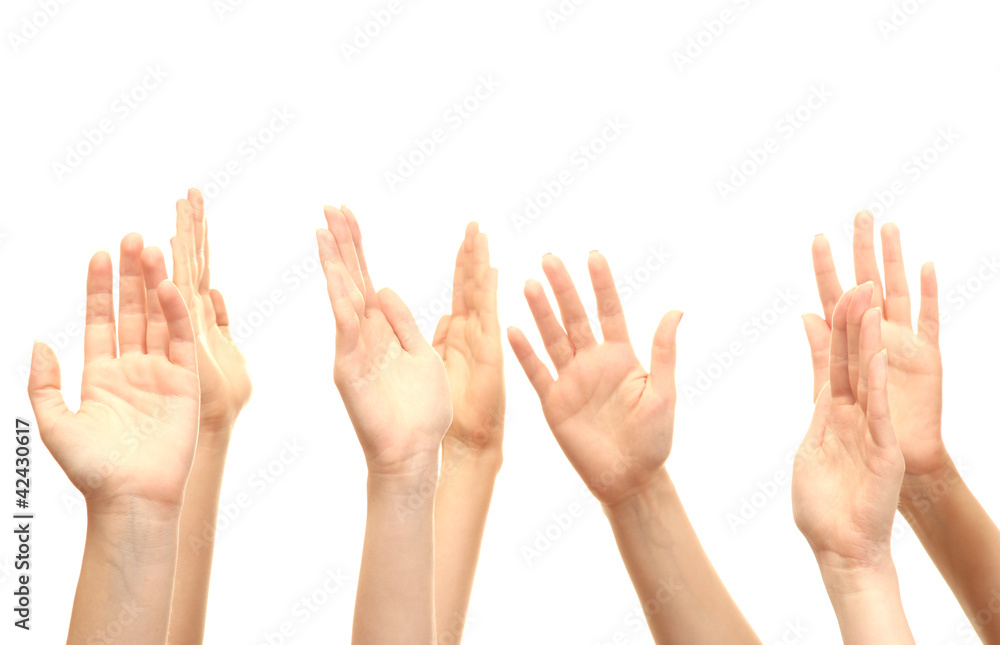 group of young people's hands isolated on white group of young people's hands isolated on white