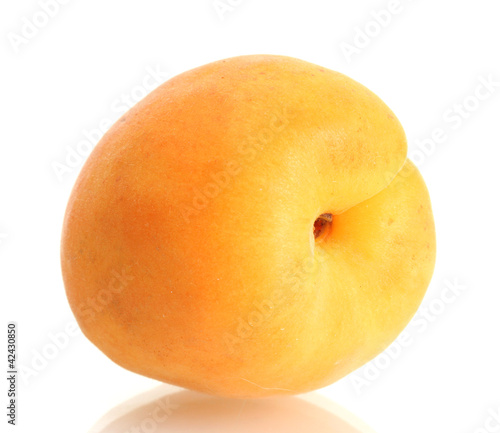 ripe sweet apricot isolated on white