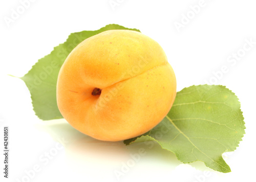 ripe sweet apricot with green leaves isolated on white