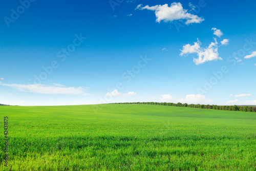picturesque green field