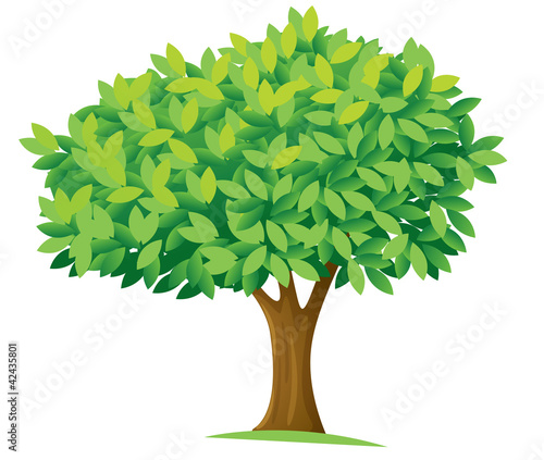 tree