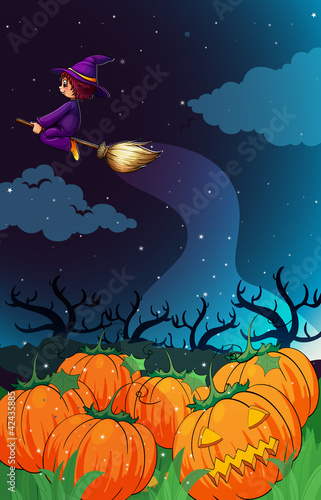 witch flying on broom