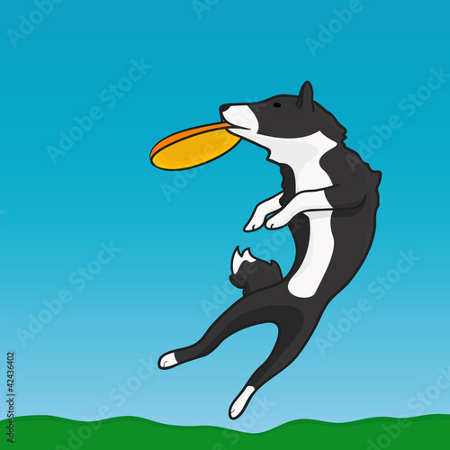 A dog and frisbee