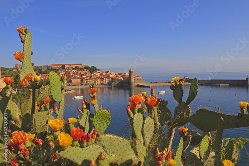 Collioure