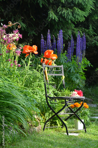 Garten Stuhl Blumen Beet bunt photo