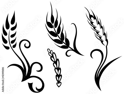 Wheat and rye