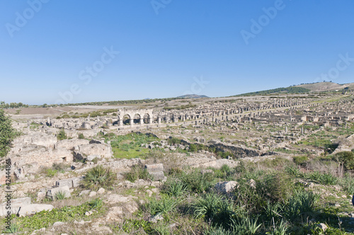 Volubilis Ruins at Morocco, Africa