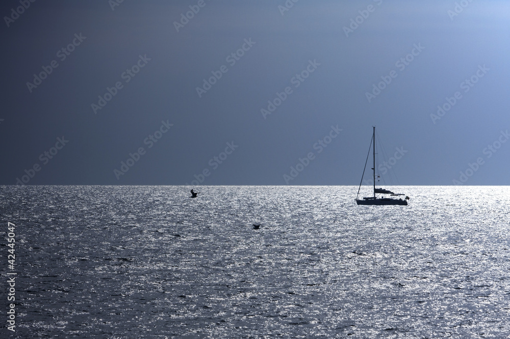 Silhouette von Segelboot und Möwen
