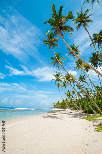 Tropical beach