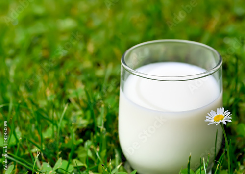 un petit verre de lait dans l'herbe verte ! photo