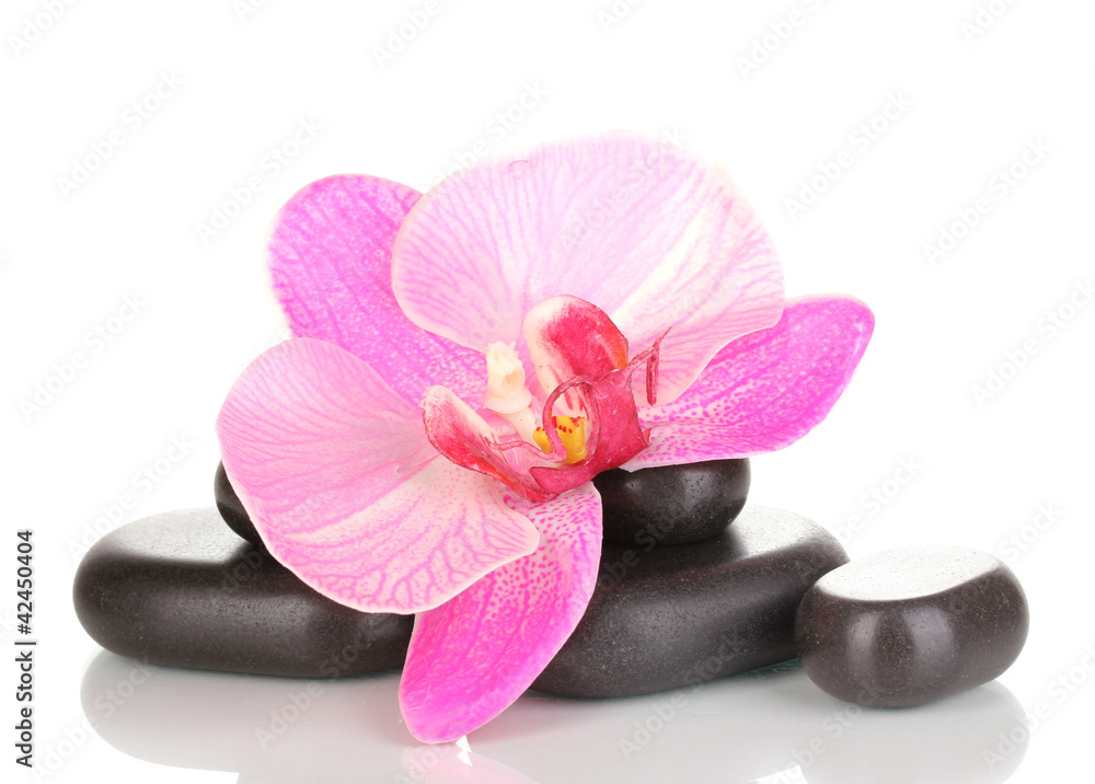 Fototapeta premium Kamienie Spa z kwiatem orchidei na białym tle