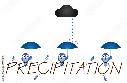 Precipitation twig text isolated on white background