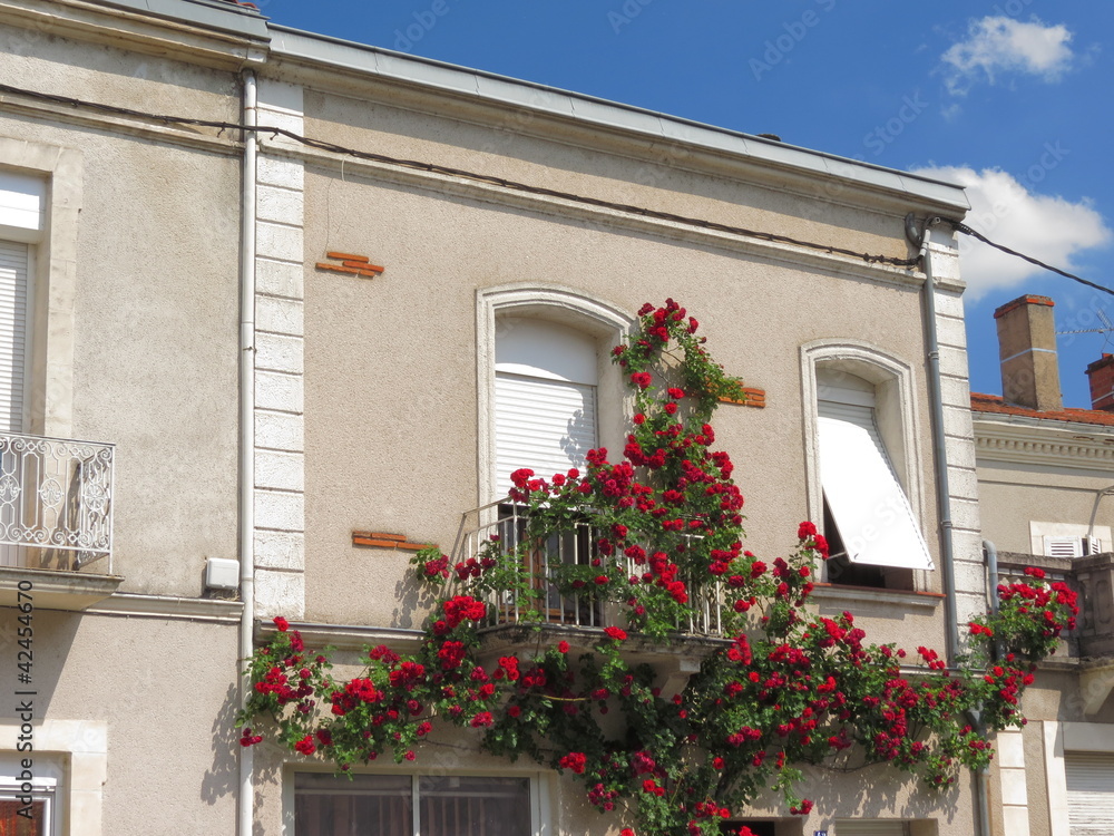 La Maison aux Roses ; Lot et Garonne ; Aquitaine
