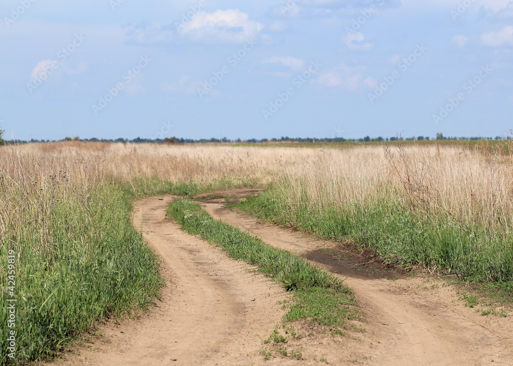 Fototapeta premium Дорога в поле