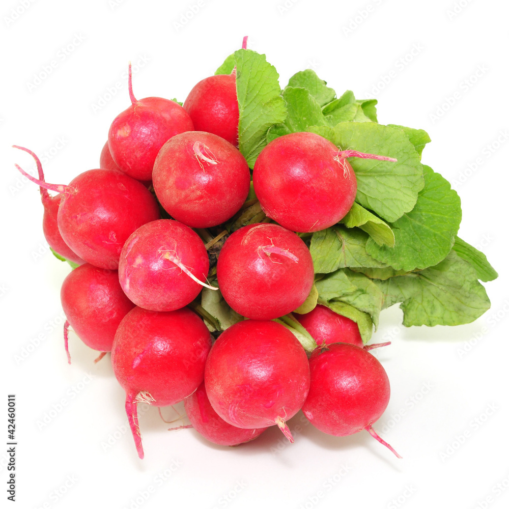 Knollen, Gemüse StockFoto Adobe Stock