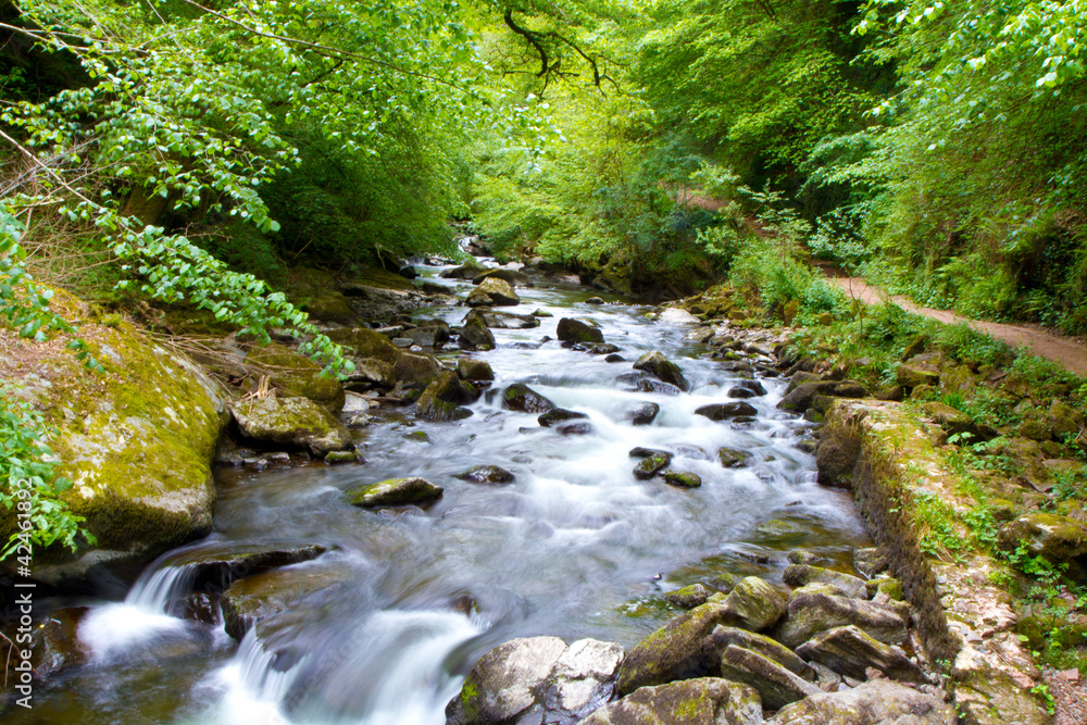 The River Lyn near Lynmouth and Watersmeet Devon The River Lyn near Lynmouth and Watersmeet Devon