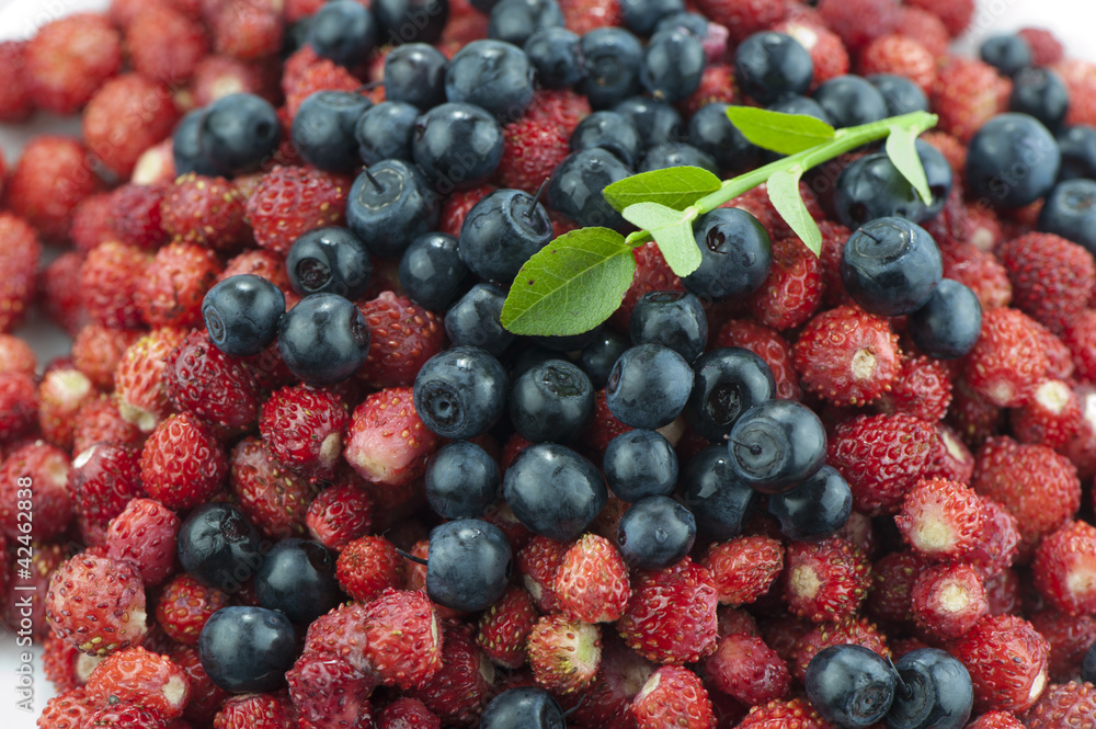 Wild berries Wild berries