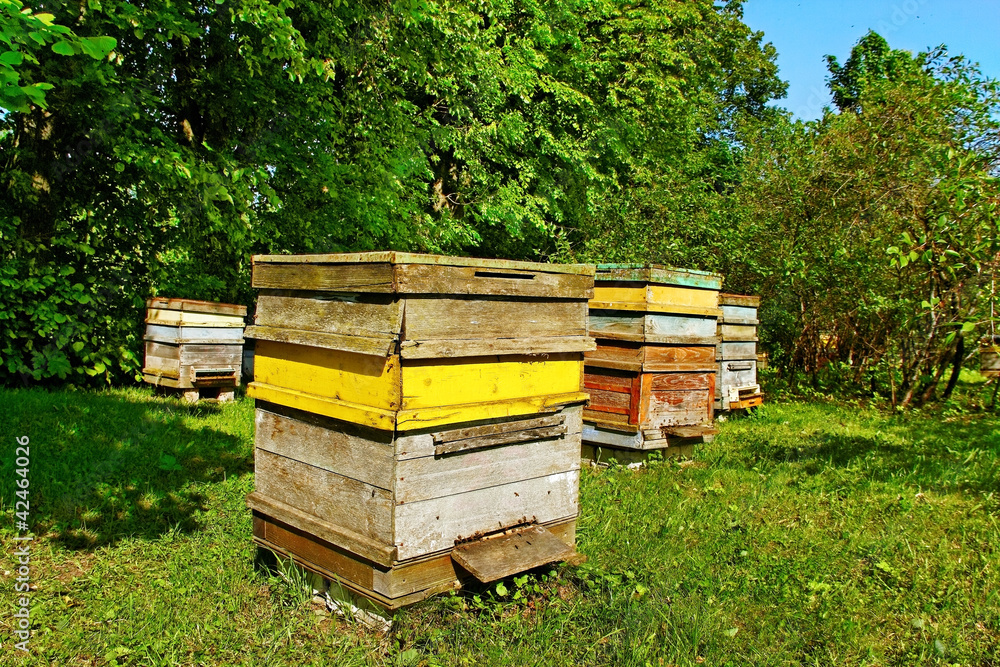 Beehives. Beehives.