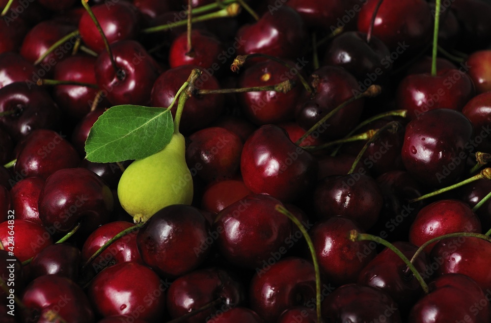 una pere tra le ciliegie una pere tra le ciliegie