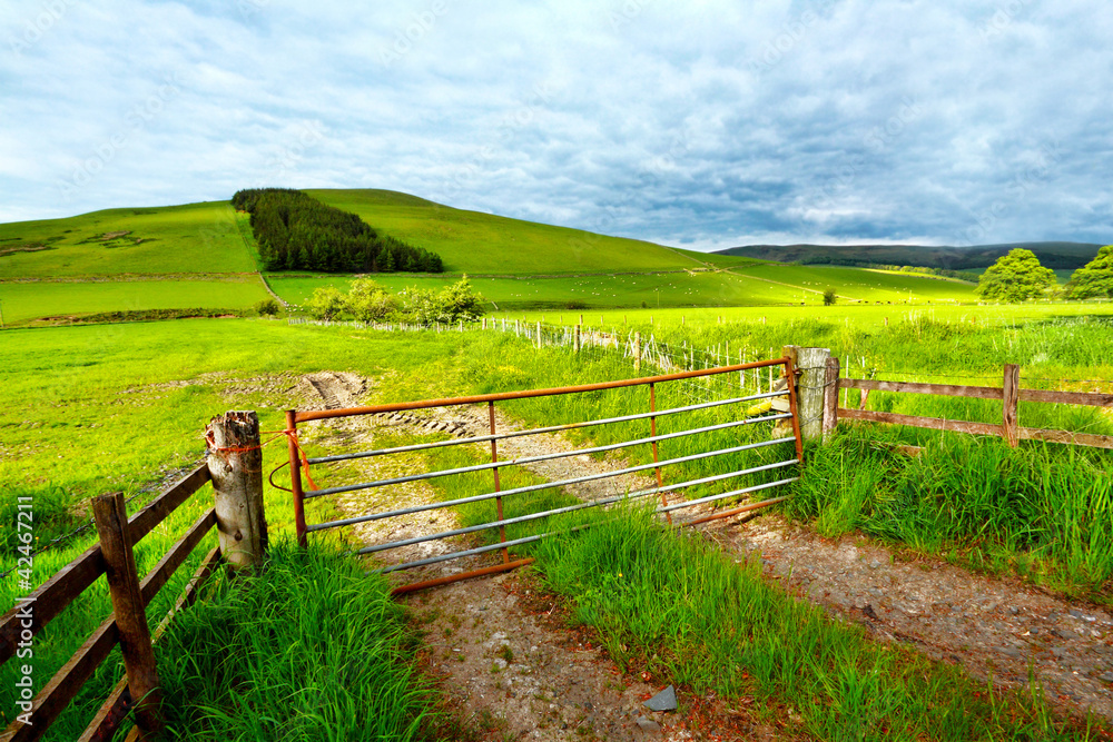 Spring rural landscape in Scotland