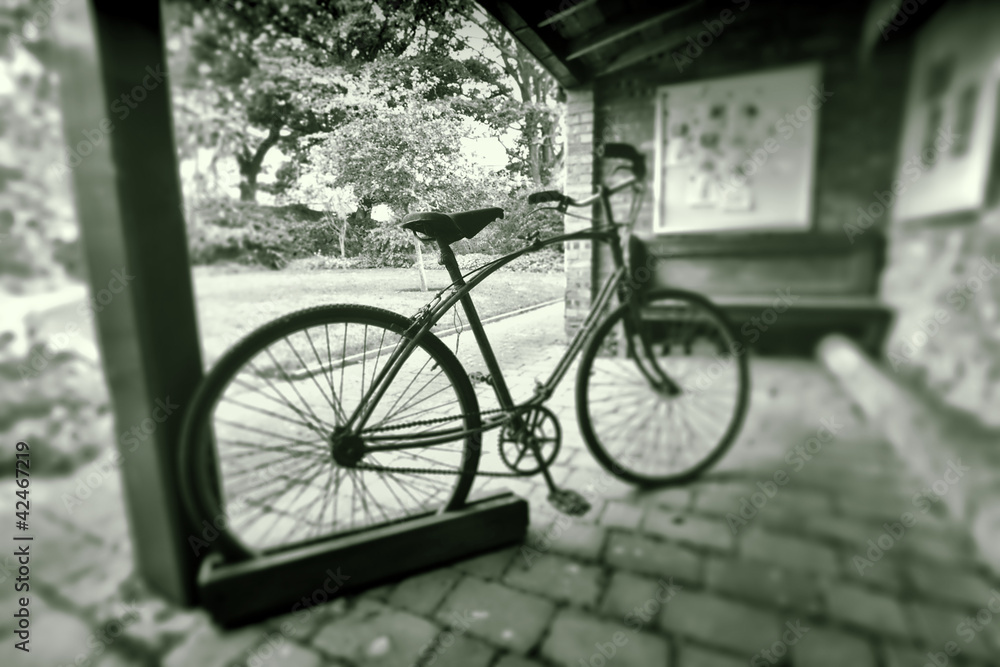 Vintage bicycle in black and white