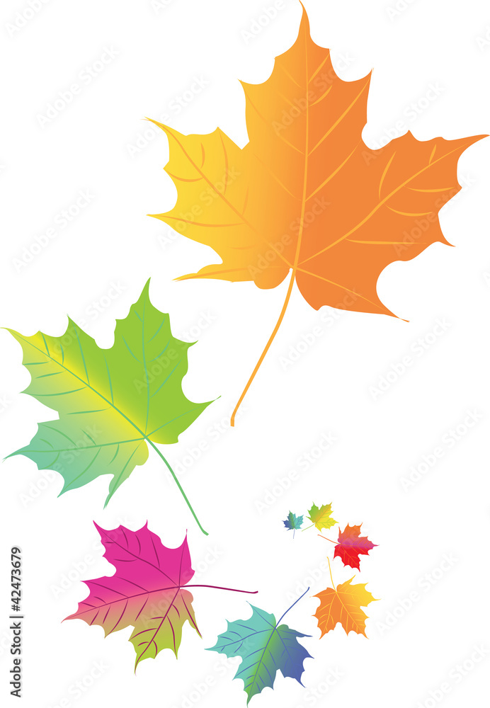 Fototapeta premium Autumn color leafs in space - isolated illustration