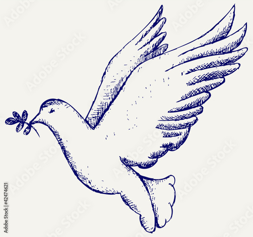 Vector dove symbol