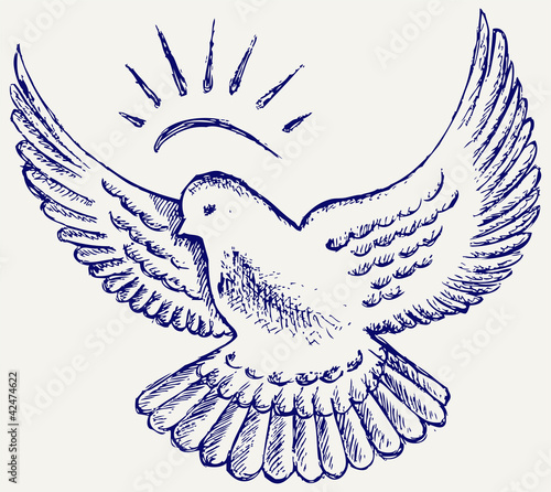 Vector dove symbol
