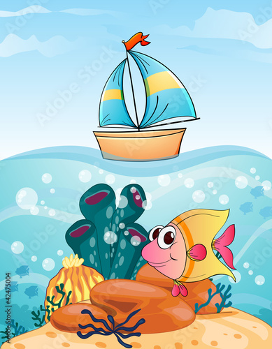 ship and fish
