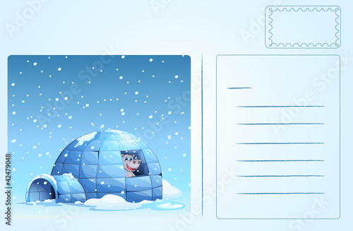 Igloo postcard
