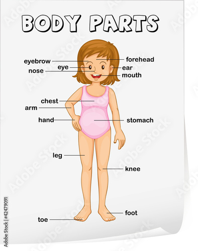 Body parts