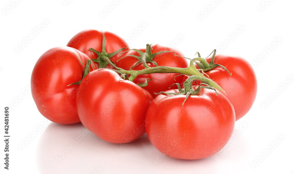 Fresh tomatoes on branch isolated on white Fresh tomatoes on branch isolated on white