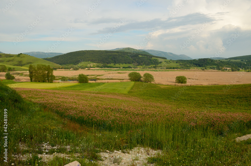 Umbria in the spring