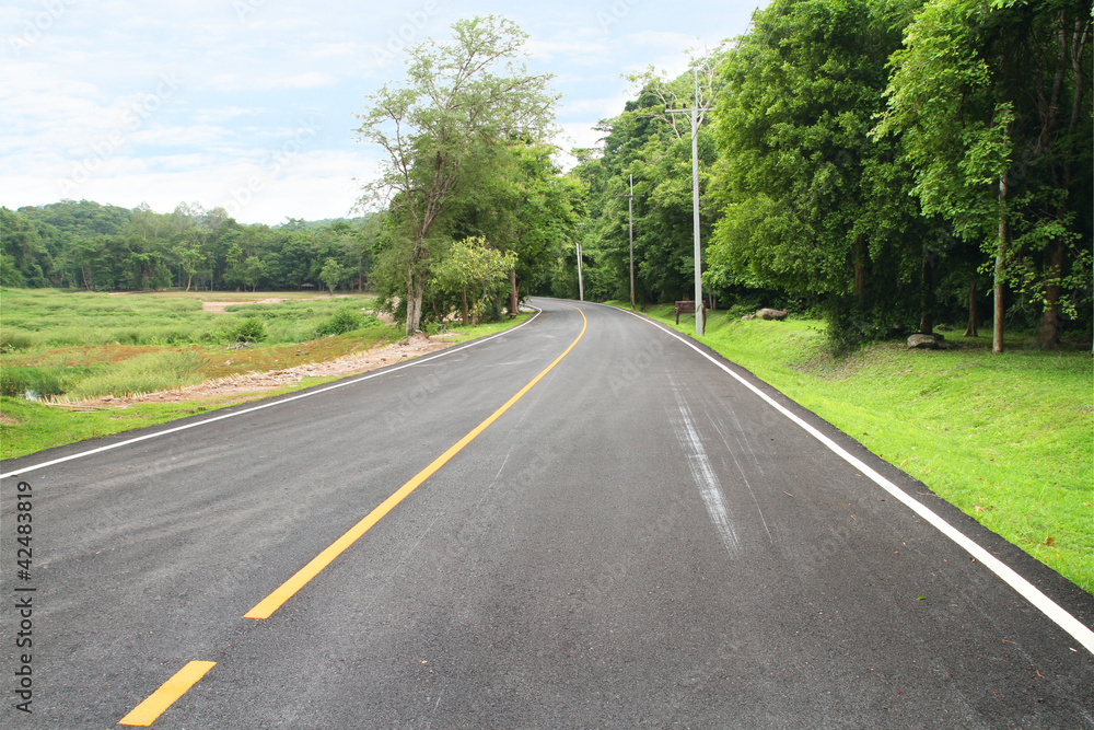 Curve asphalt road in the national park