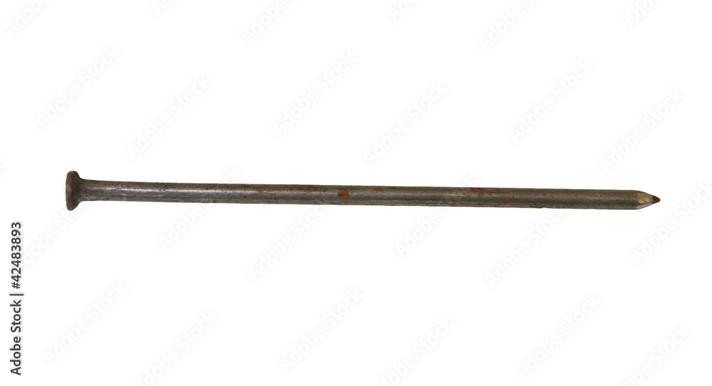 One metal nail isolated on a white background One metal nail isolated on a white background
