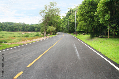 Curve asphalt road in the national park