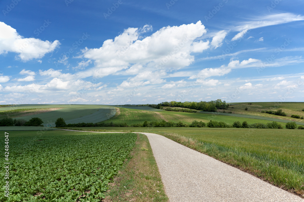 Landstraße mit Felder Landstraße mit Felder