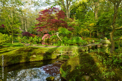 Fototapeta Naklejka Na Ścianę i Meble -  Japanese garden