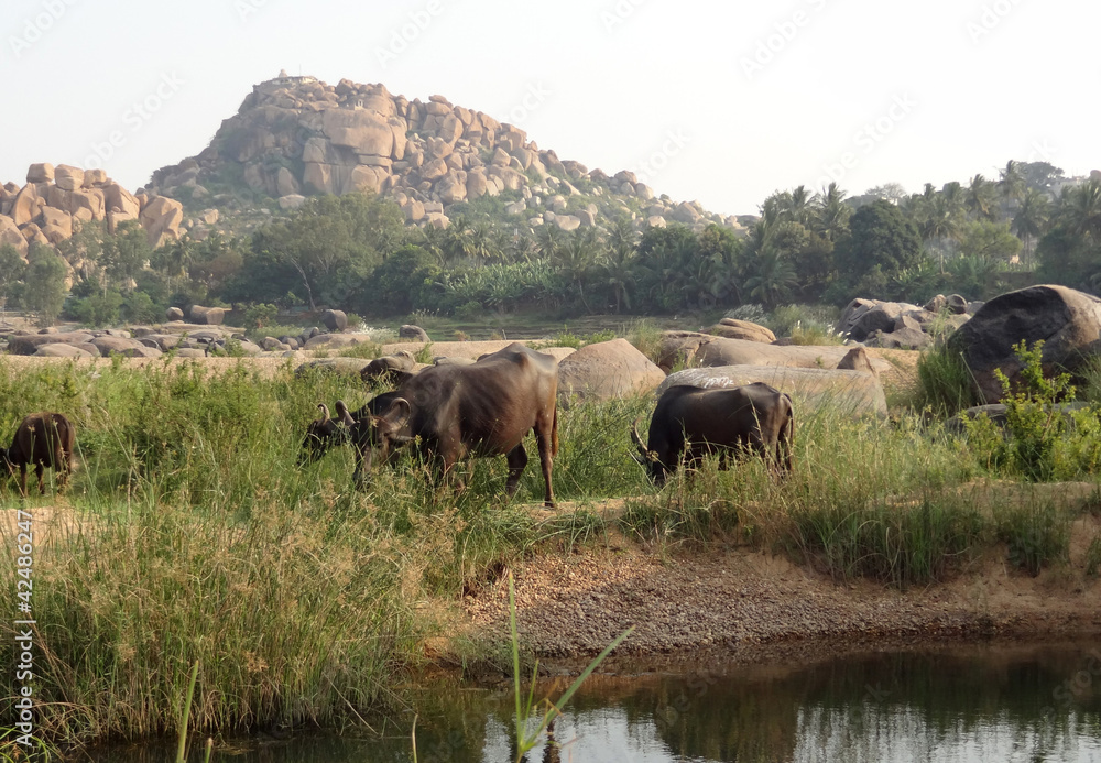 scenery around Hampi scenery around Hampi