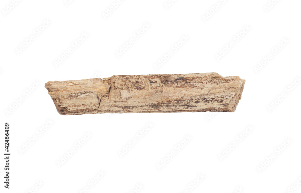 Fototapeta premium Birch logs isolated on the white background.