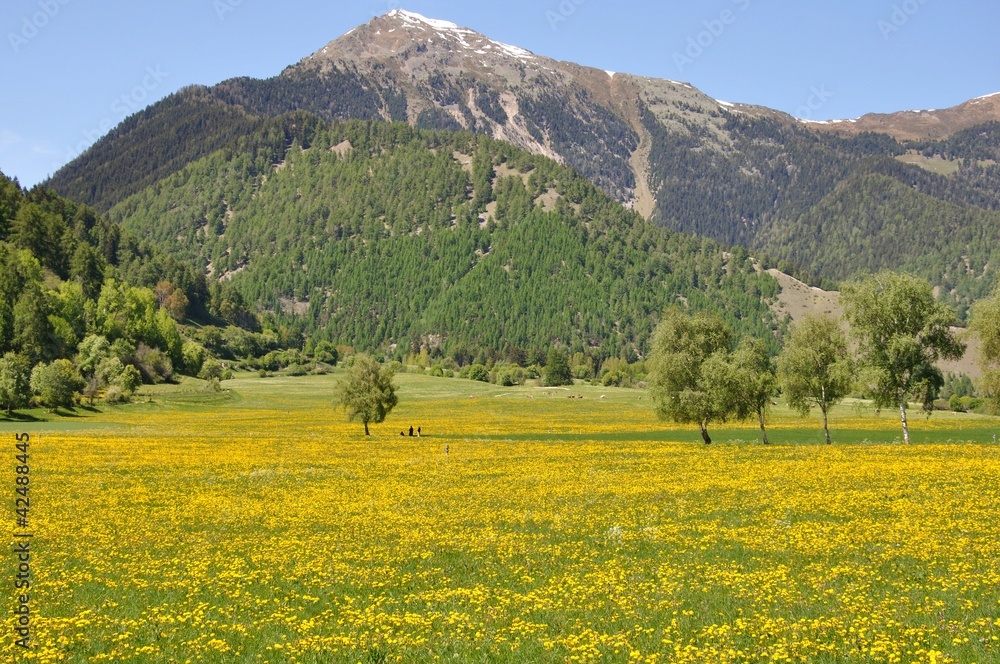 Obraz premium Müstair im Münstertal, Schweiz