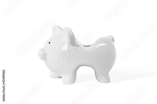Skinny piggy bank