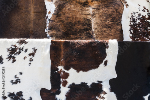 Картината върху платно Cow hides close up