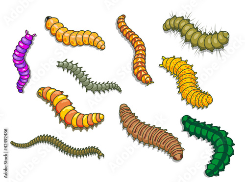 Cartoon worms