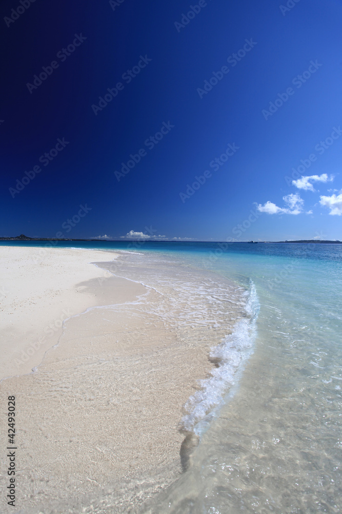 Obraz premium 美しいビーチに打ち寄せる白い波