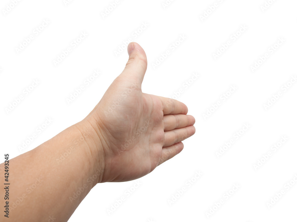hand on a white background hand on a white background