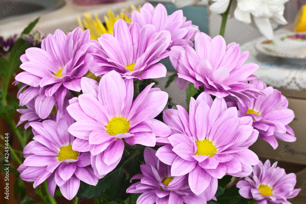 Closed up chrysanthemum Closed up chrysanthemum